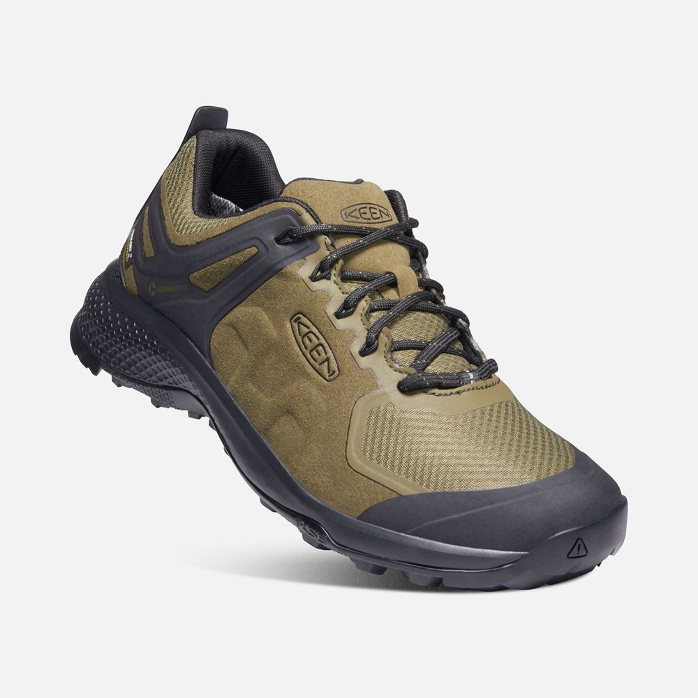 Chaussure de Randonnée Keen Homme Vert Olive/Noir | Explore Waterproof | AKFOD-3961